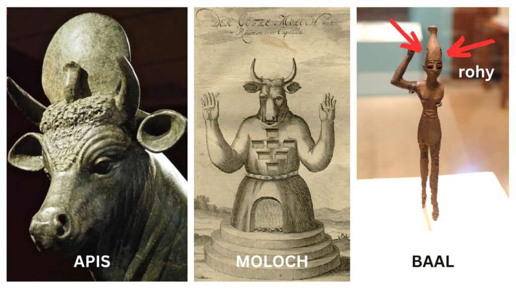 etymolog.cz - kult uctvívání býka, Moloch, Apis, Haapi, Baal