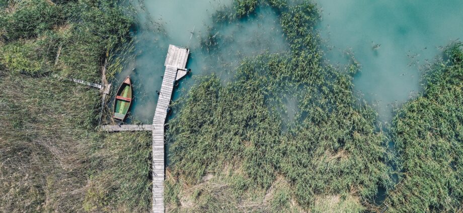 Balaton, bláto