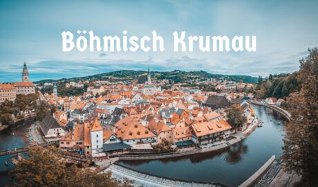 etymolog.cz - češtináři nutně musejí znát historii